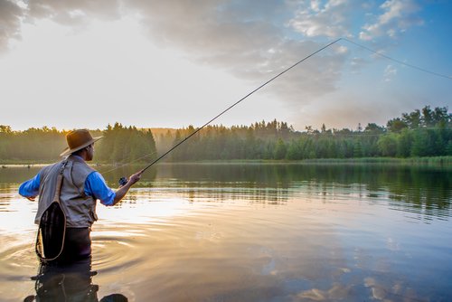Fly Fishing for Bass: What You Need to Know
