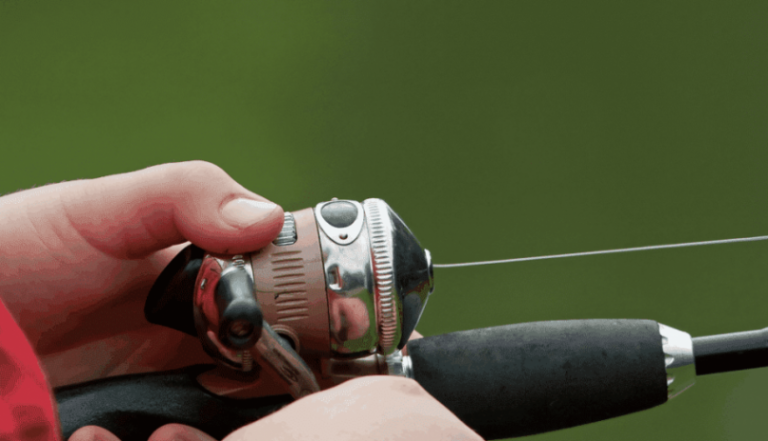 The Best Bass Fishing Gear: Essential Tools for Anglers